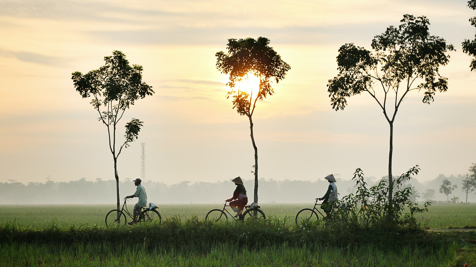 Three people on bicycles in Indonesia