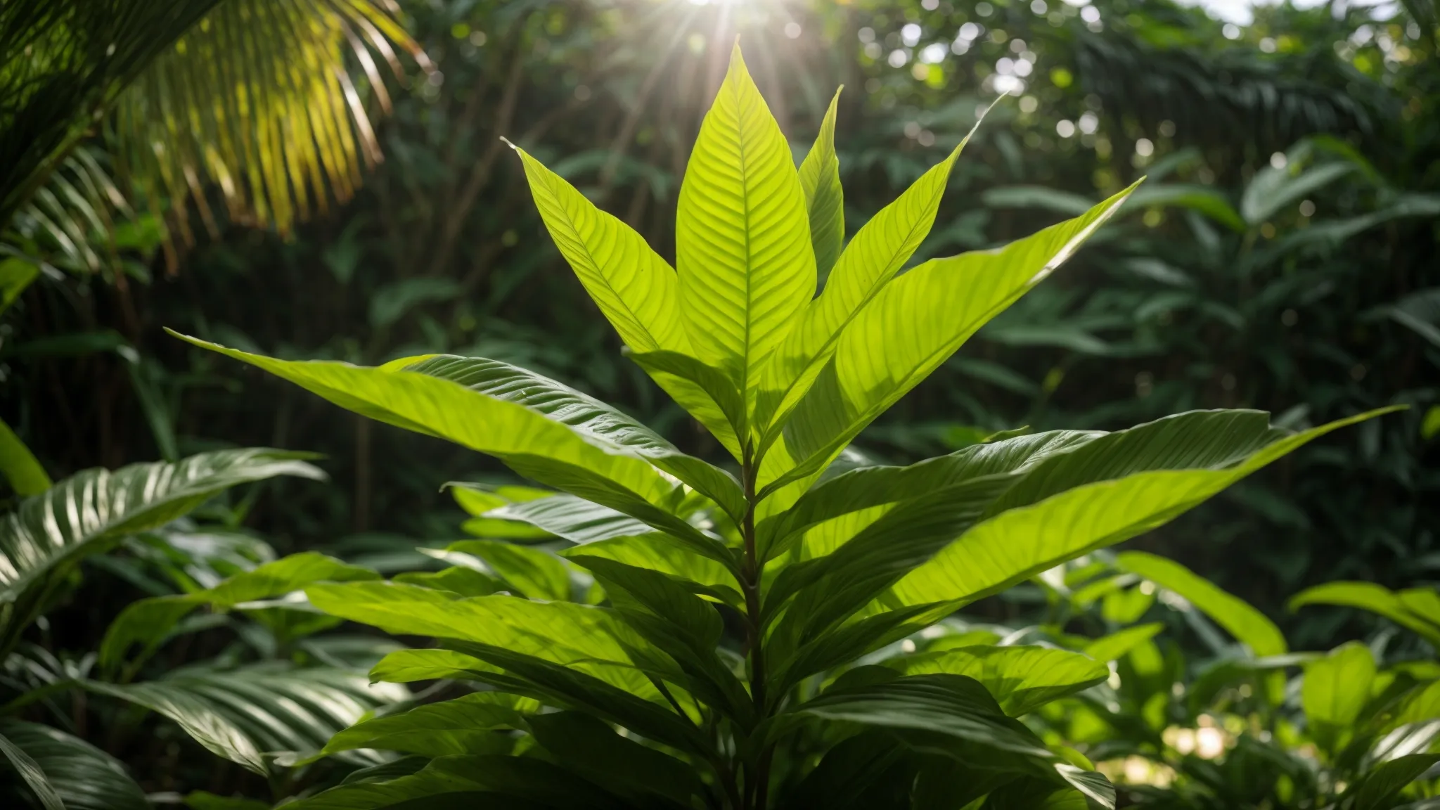 a vibrant, lush kratom plant thriving in a sun-drenched tropical landscape, surrounded by rich greenery, embodying the deep-rooted history and cultural significance of this intriguing herb.